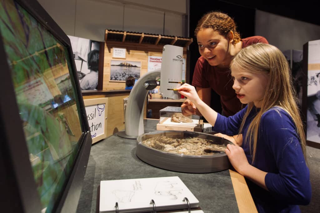 Fossil Microscope Station