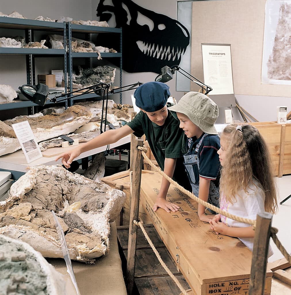 Paleontology Lab Oregon Museum Of Science And Industry