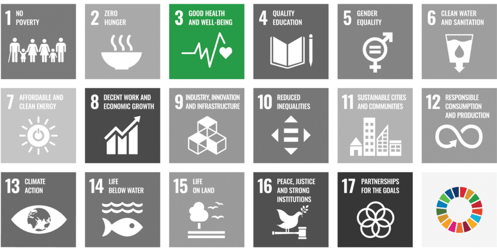 UN Sustainable development goals, with the third highlighted in green