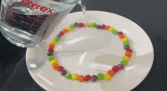 Pouring water into circle of skittles on a plate