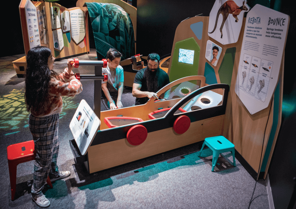 Photos of a family interacting with Designing Our Tomorrow Exhibit