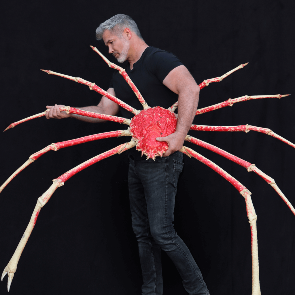 Christopher Marley setting up a specimen in his exhibit, Exquisite Creatures Revealed