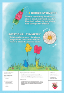 Mirror and Rotational Symmetry in Plants by Constance Palma