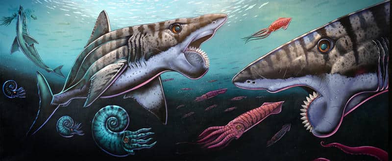 Mural of colorful sea creatures under water with two sharks about to eat them