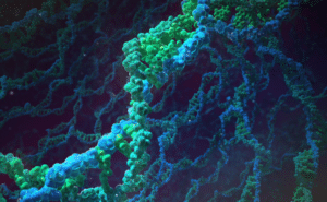 Blue and green illustration of cells.