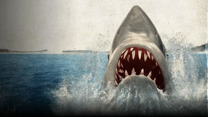Shark emerging from the ocean.