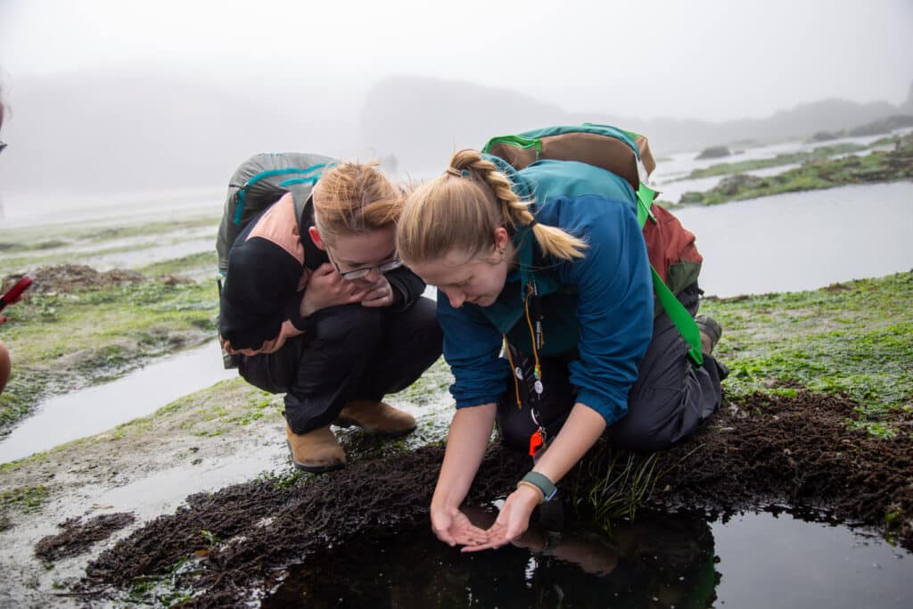 Staff member from OMSI's Camp Gray kneeling by a tide pool to show another person something in the water.